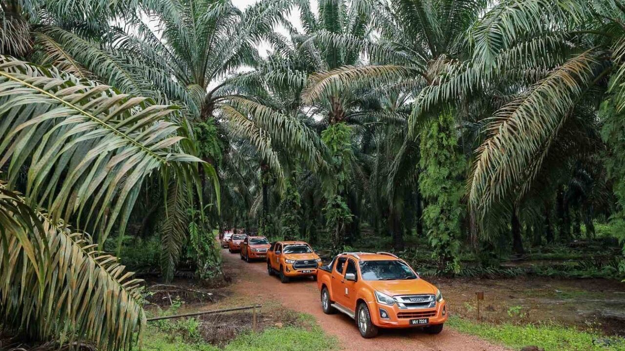 Malezya ile ABD arasında palm yağı rekabeti