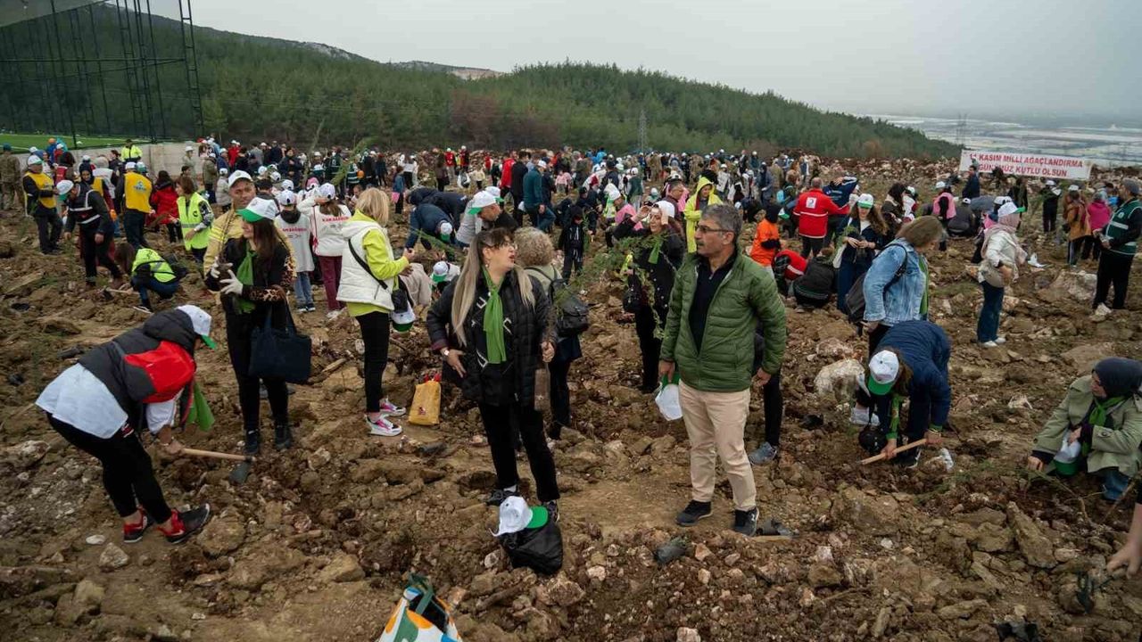 Manisa'da minikler yanan ormanları fidanlarla yeşertti