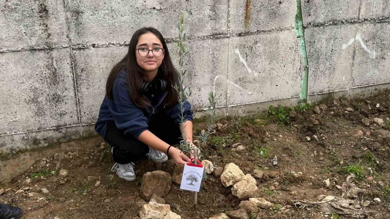 Manisa'da Okul Bahçesine 60 Zeytin Fidanı Dikildi