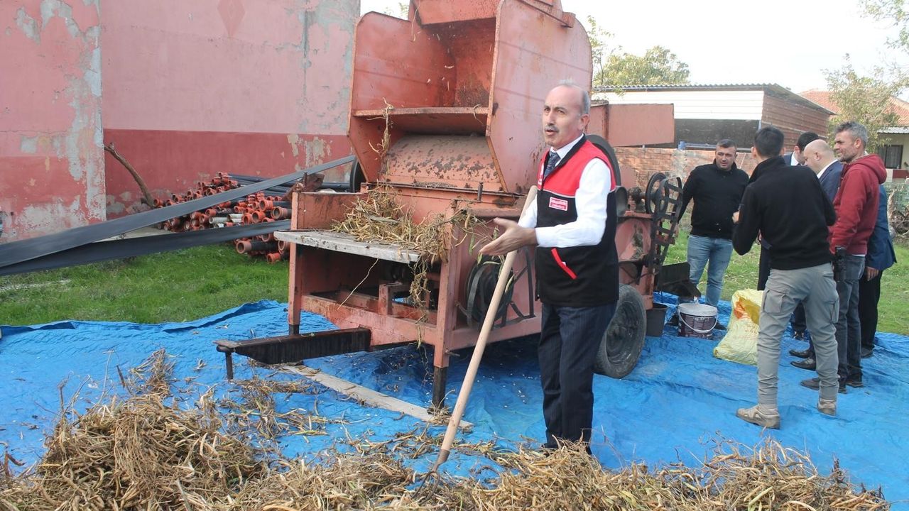 Manyas’ta Coğrafi İşaretli Kazak Fasulyesinin İlk Hasat Festivali Düzenlendi