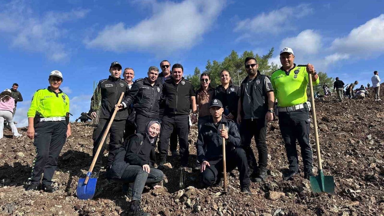 Marmaris'te 11 Kasım'da 3 bin fidan dikildi