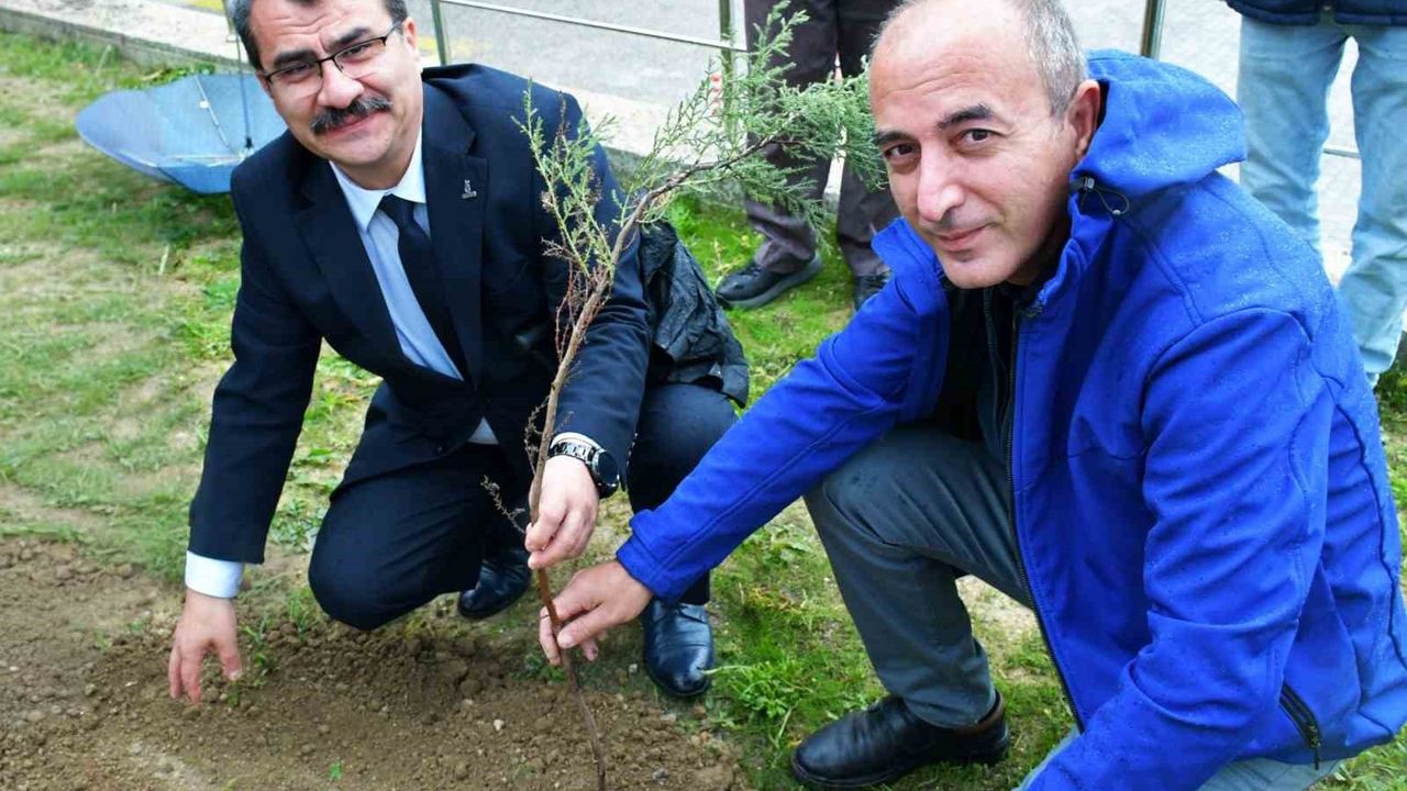 MCBÜ 'Yeşil Vatan Seferberliği'ne mavi servi desteği