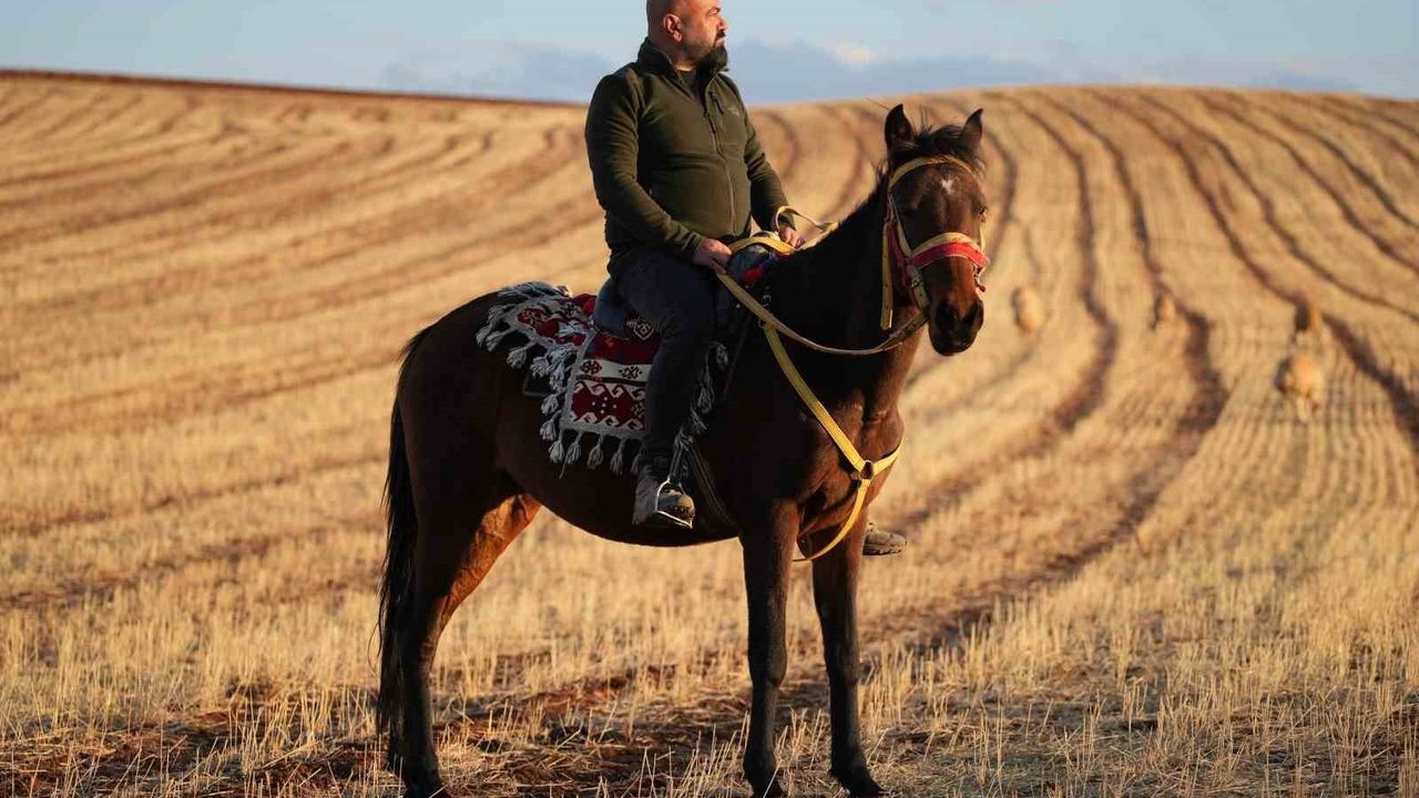 Medya dünyasından köy yaşamına: Mehmet Özmen Tatlıcak'ta küçükbaşçılık