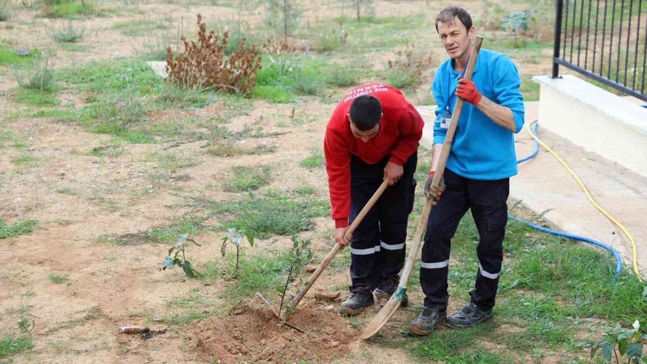Menteşe Akçaova TOKİ Sitesi'nden 11 Kasım'da 'Yeşil Vatan' İçin Fidan Dikimi