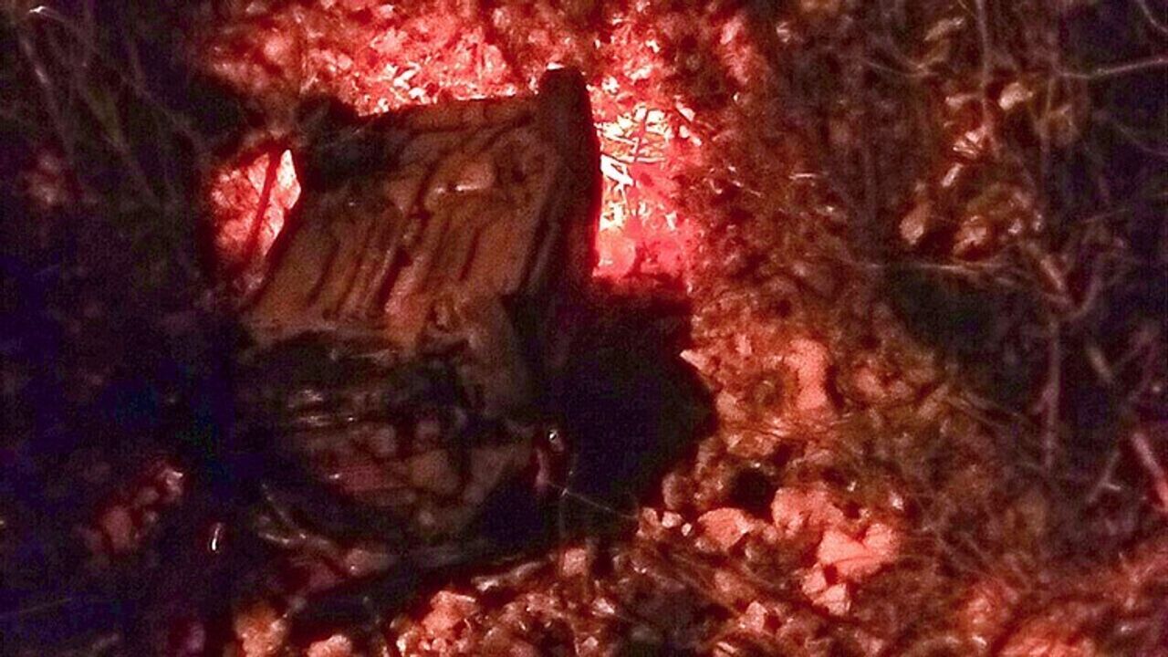 Menteşe'de araç dereye uçtu: 1 yaralı