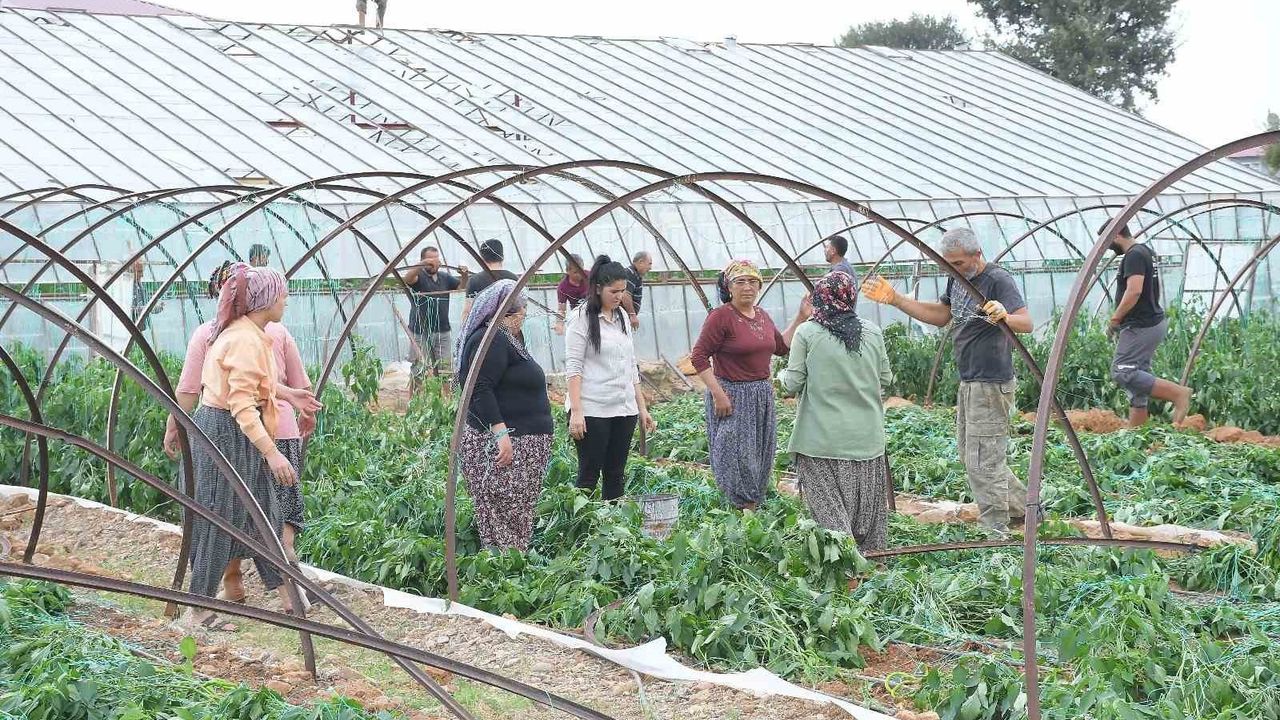 Mersin Bozyazı'da hortum ve fırtına seralara zarar verdi