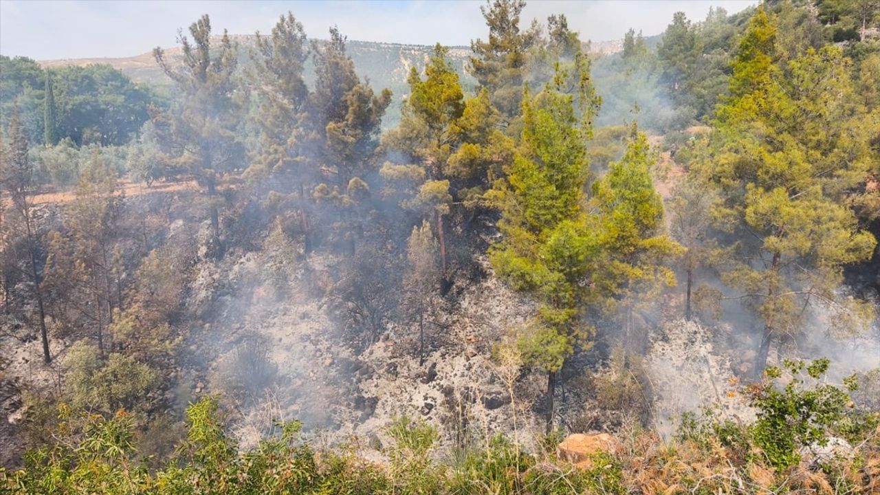 Mersin'de Yabani Ot Temizliği Faciası: 1 Kayıp