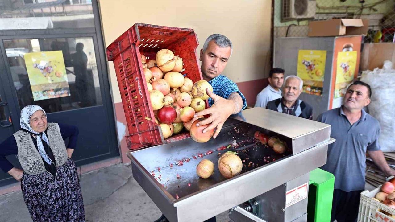 Mersin Karahacılı üreticilerine nar taneleme ve sıkma makinesi desteği