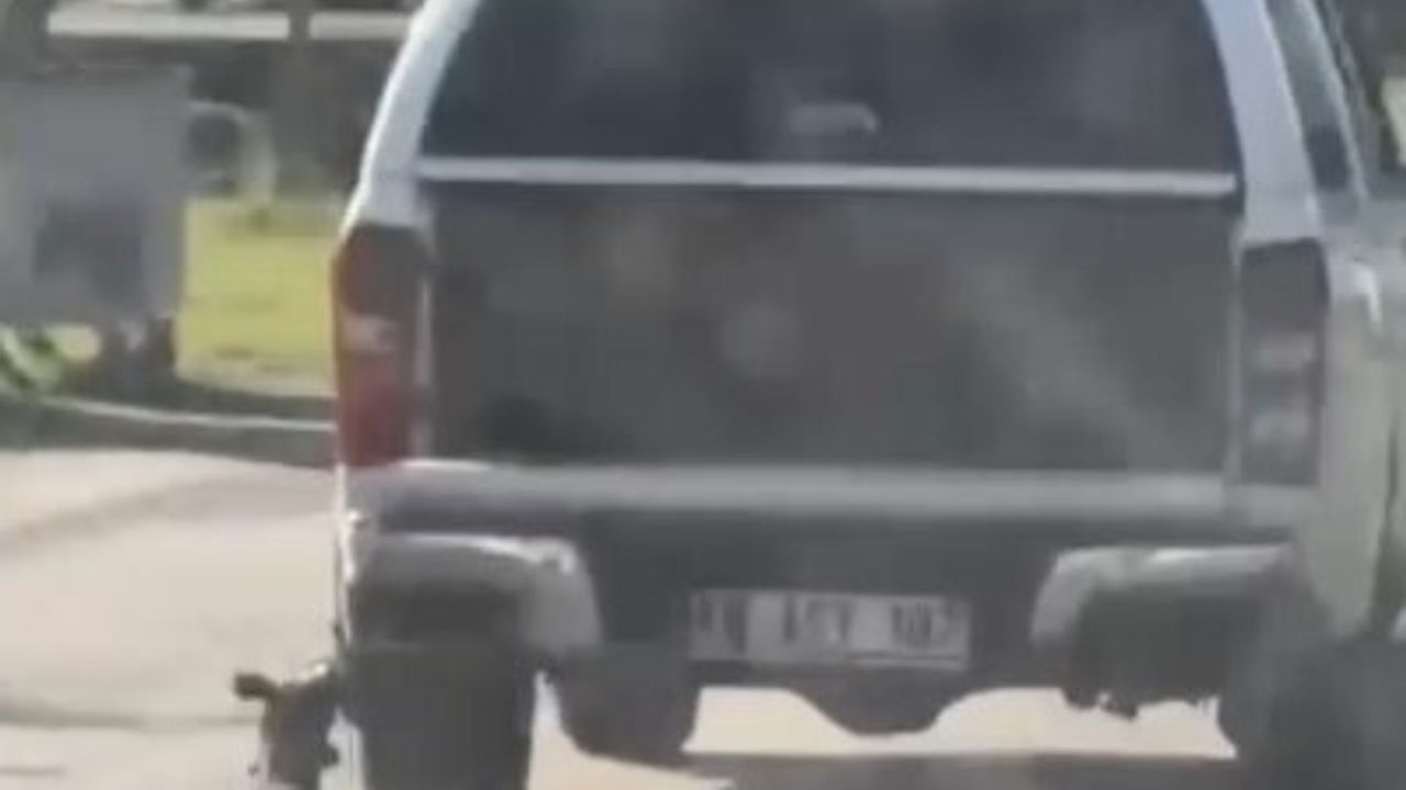 Milas'ta araç arkasında sürüklenen köpek öldü, iki kişi gözaltına alındı