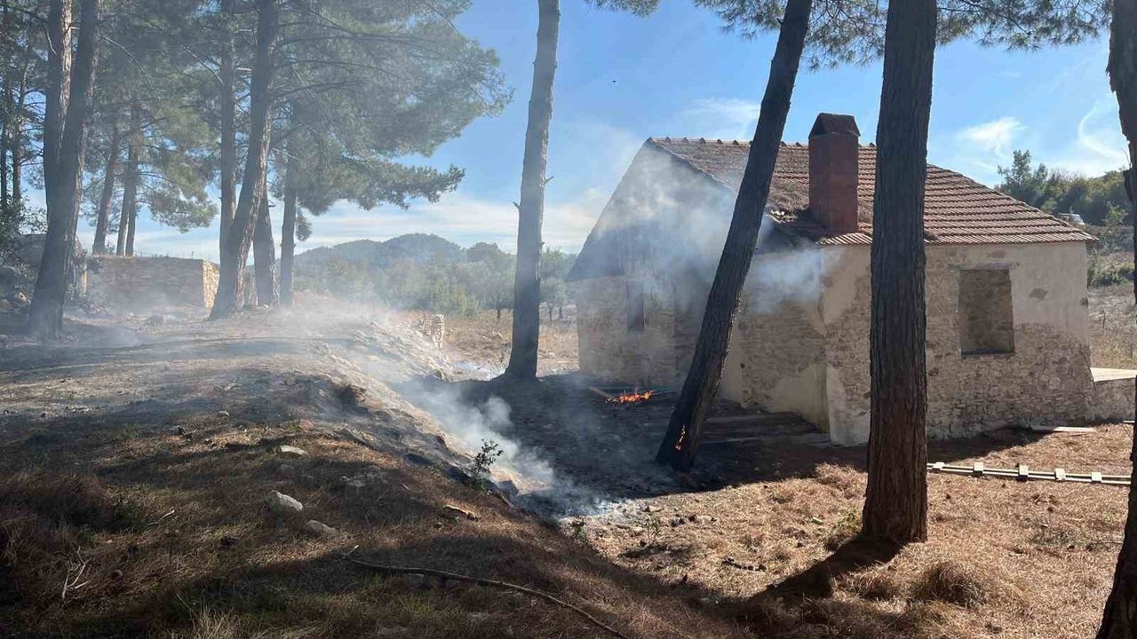 Milas’ta iki orman yangını hızlı müdahaleyle kontrol altına alındı