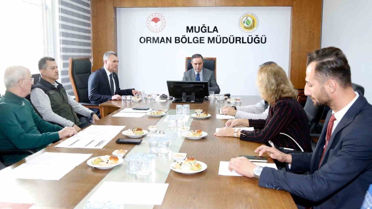 Muğla'da 11 Kasım Ağaçlandırma Günü Hazırlıkları Tamamlandı