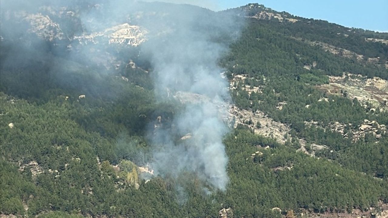 Muğla'daki Orman Yangını Kontrol Altına Alındı