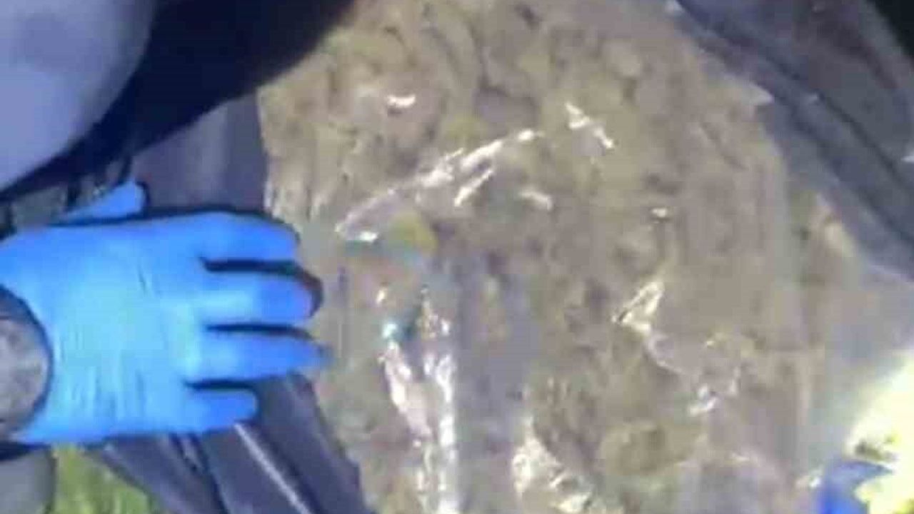 Muğla'da Menteşe'de 4 Milyon TL'lik uyuşturucu ormanlık alanda ele geçirildi