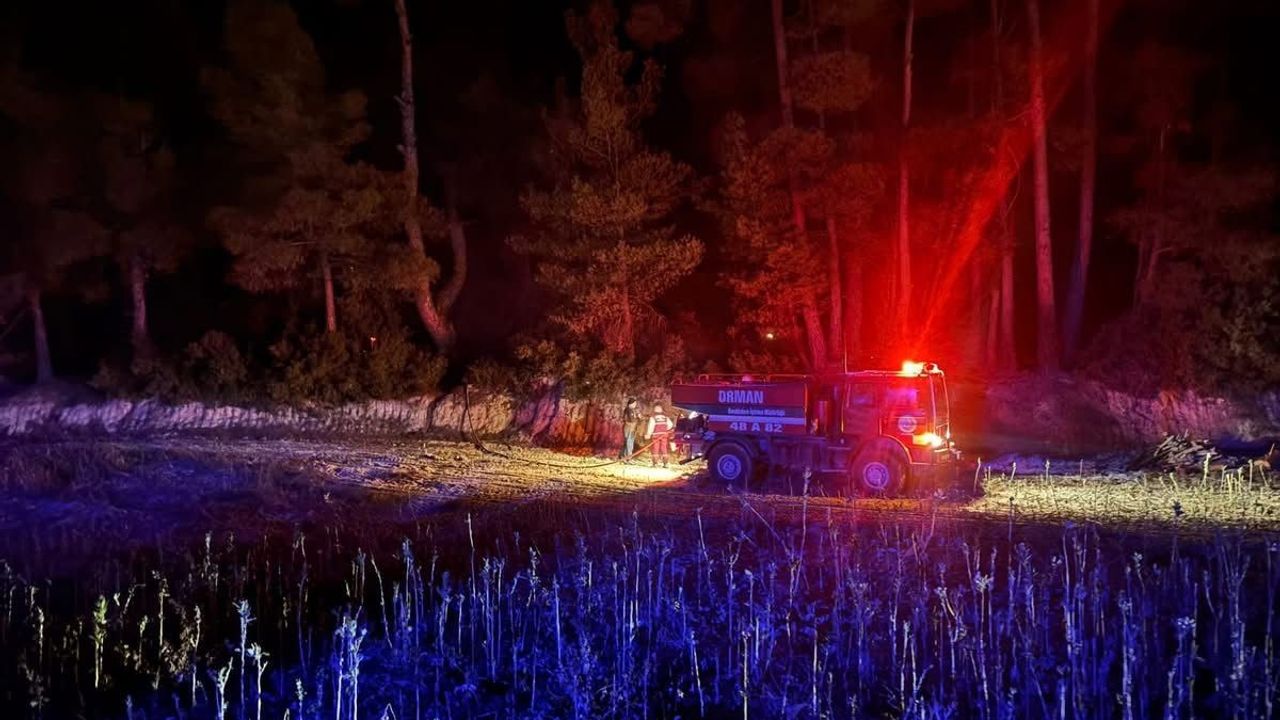 Muğla Kavaklıdere'de orman yangını kısa sürede kontrol altına alındı