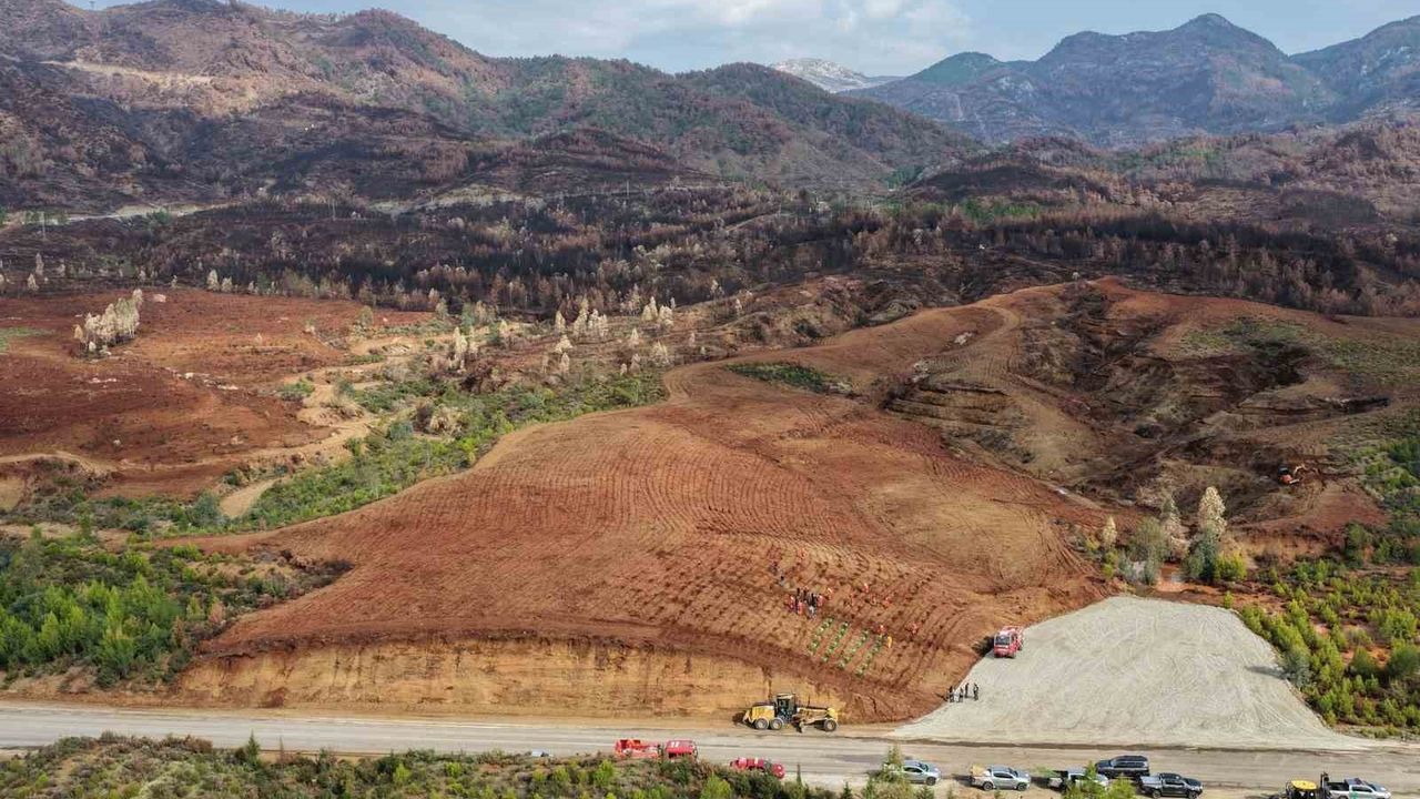 Muğla ve Aydın’da 11 Kasım’da 30 Noktada Fidan Dikimi