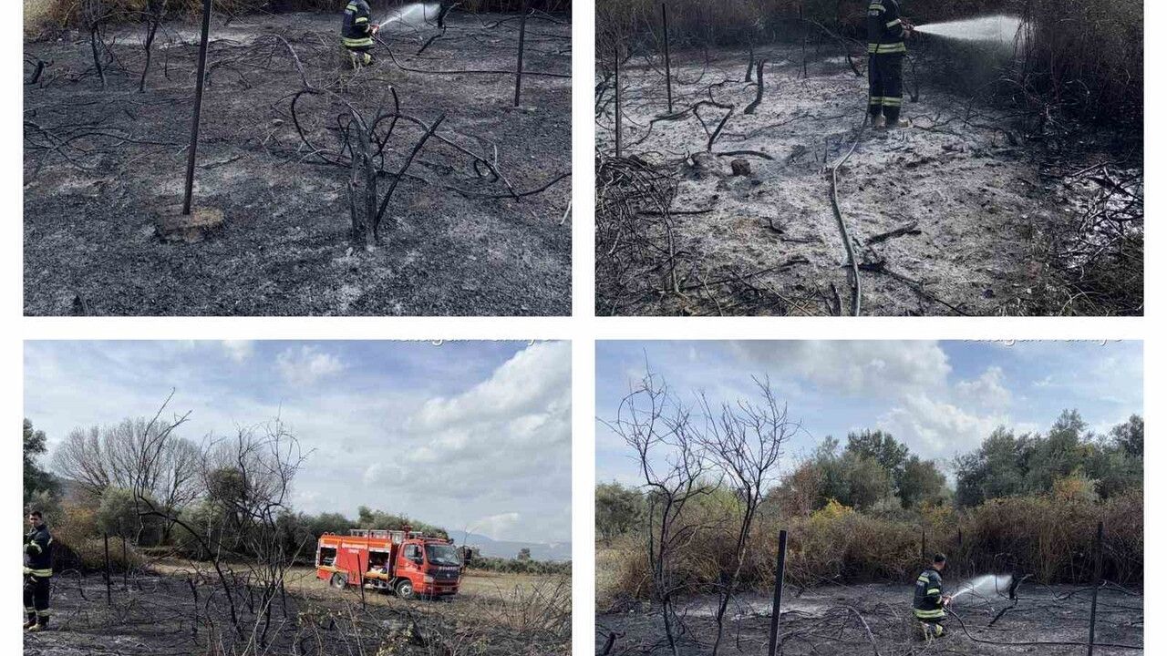 Muğla Yatağan'da üzüm bağlarında çıkan yangın kontrol altına alındı
