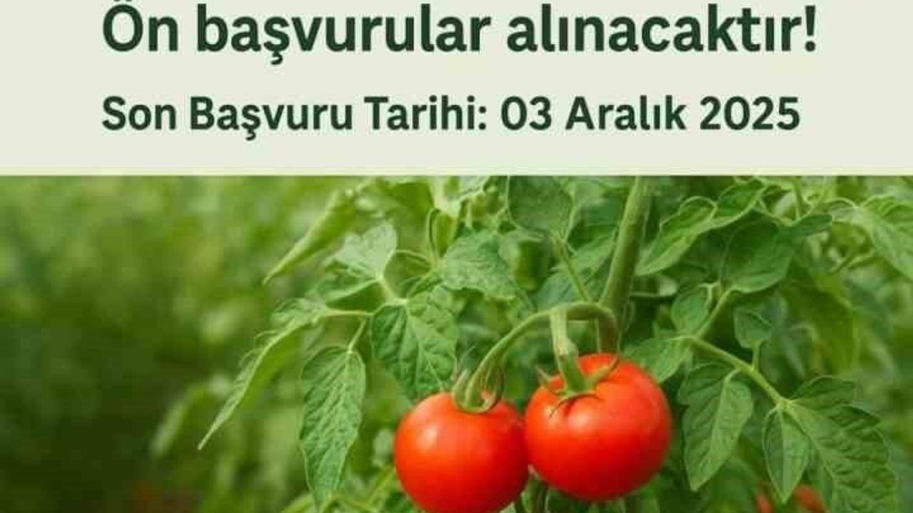 Muradiye'de 'Domates Yetiştiriciliği' Projesi İçin Ön Başvurular Başladı