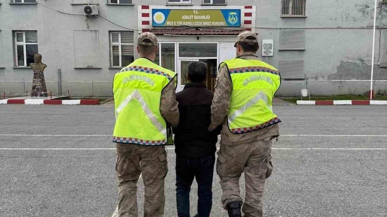Muş'ta 5 yıl hapis cezası bulunan şüpheli yakalandı