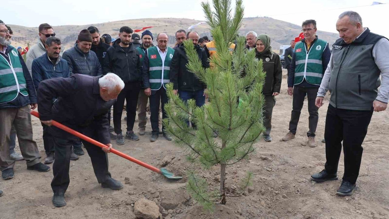 Nevşehir'de 18 bin 500 fidan toprağa verildi