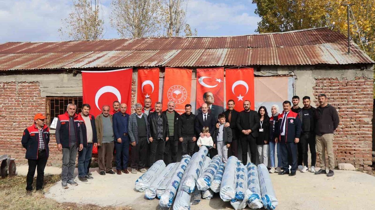 Oltu'da seralar yüzde 50 hibe ile yenilendi