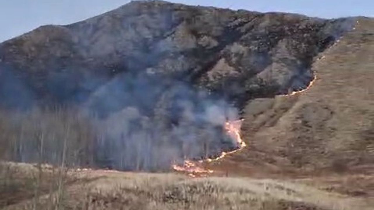Oltu'da Süleymanlı Mahallesi'nde Örtü Yangını Hızla Kontrol Altına Alındı