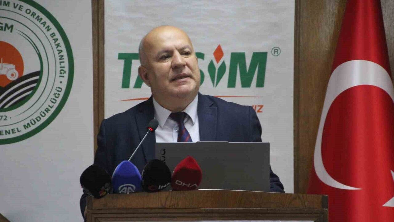 Ordu, 16.750 ton bal üretimiyle Türkiye birincisi