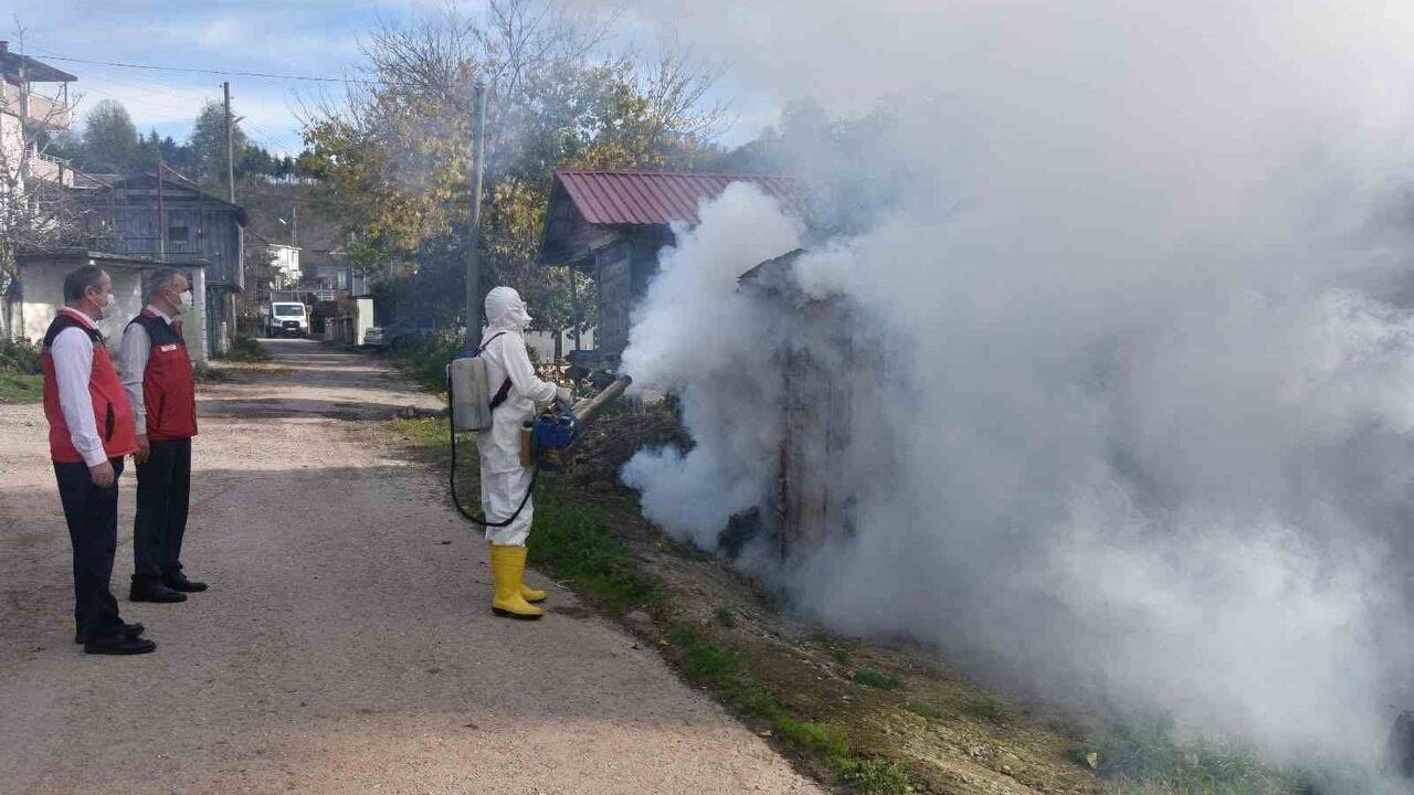 Ordu’da 330 bin kışlakta kahverengi kokarca ilaçlaması planlandı