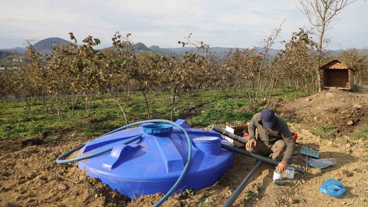Ordu'da Fındık Bahçelerine Damlama Sulama Sistemi