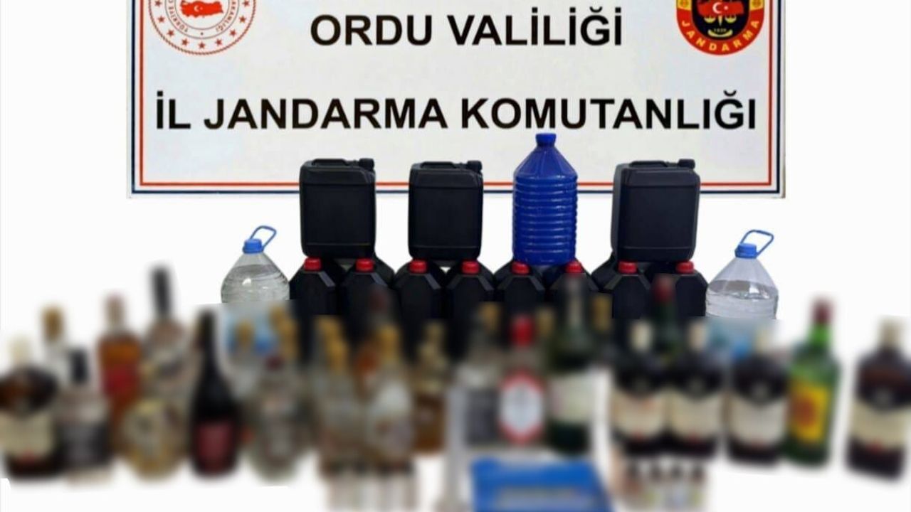 Ordu'da jandarma operasyonları: 46 yakalama, 17 tutuklama