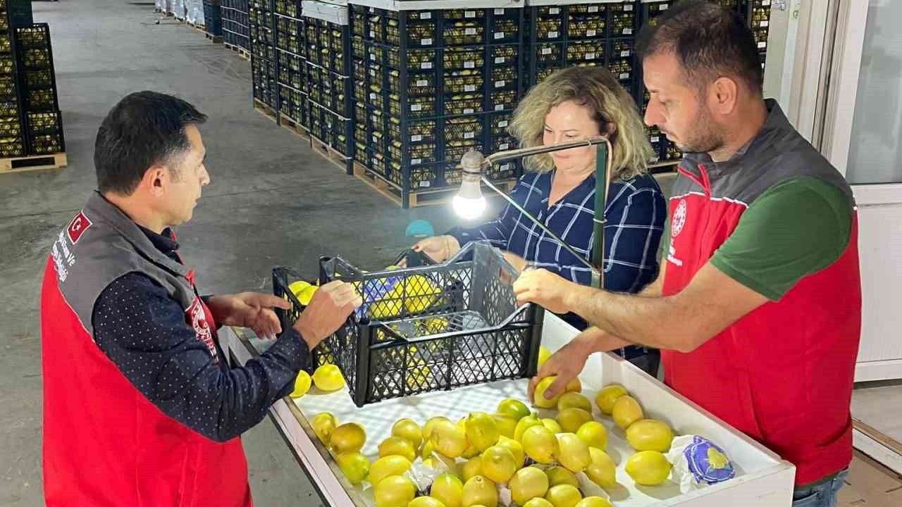 Ortaca'da ihracat ürünlerine Bitki Sağlık Sertifikası verildi