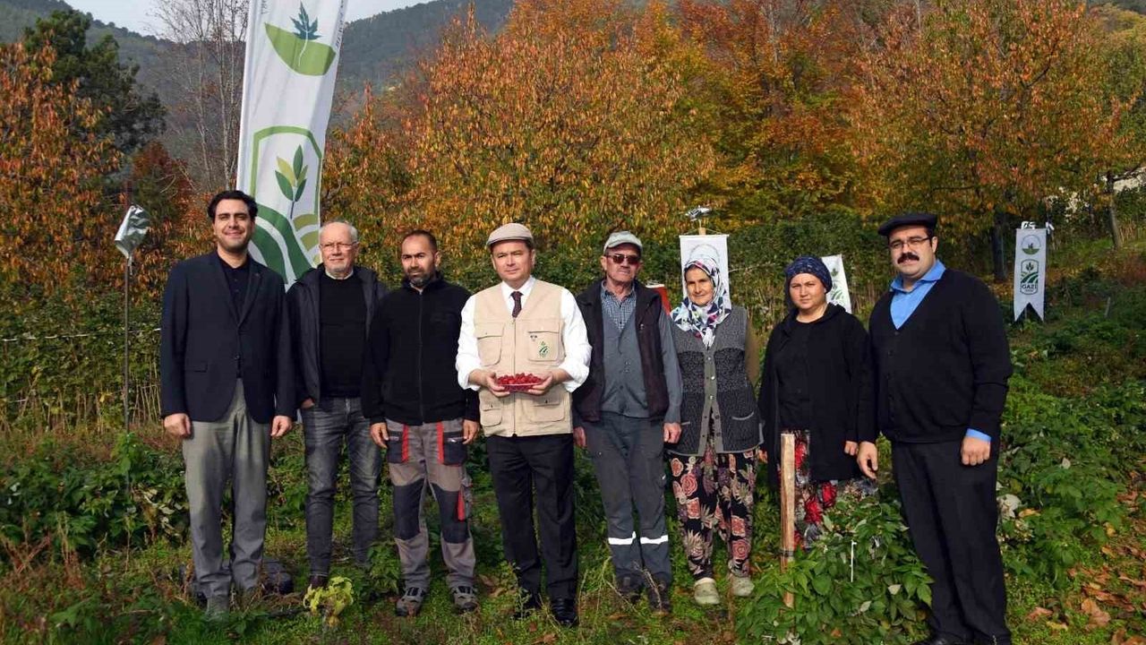 Osmangazi'de Ahududu Odaklı Organik Tarım Seferberliği