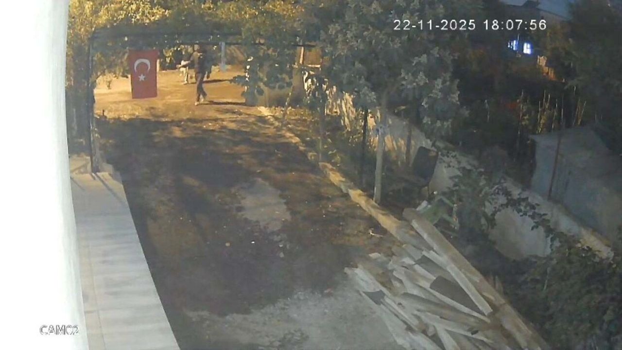 Osmaniye’de mavi yumurta veren 5 tavuk tişört içine konularak çalındı