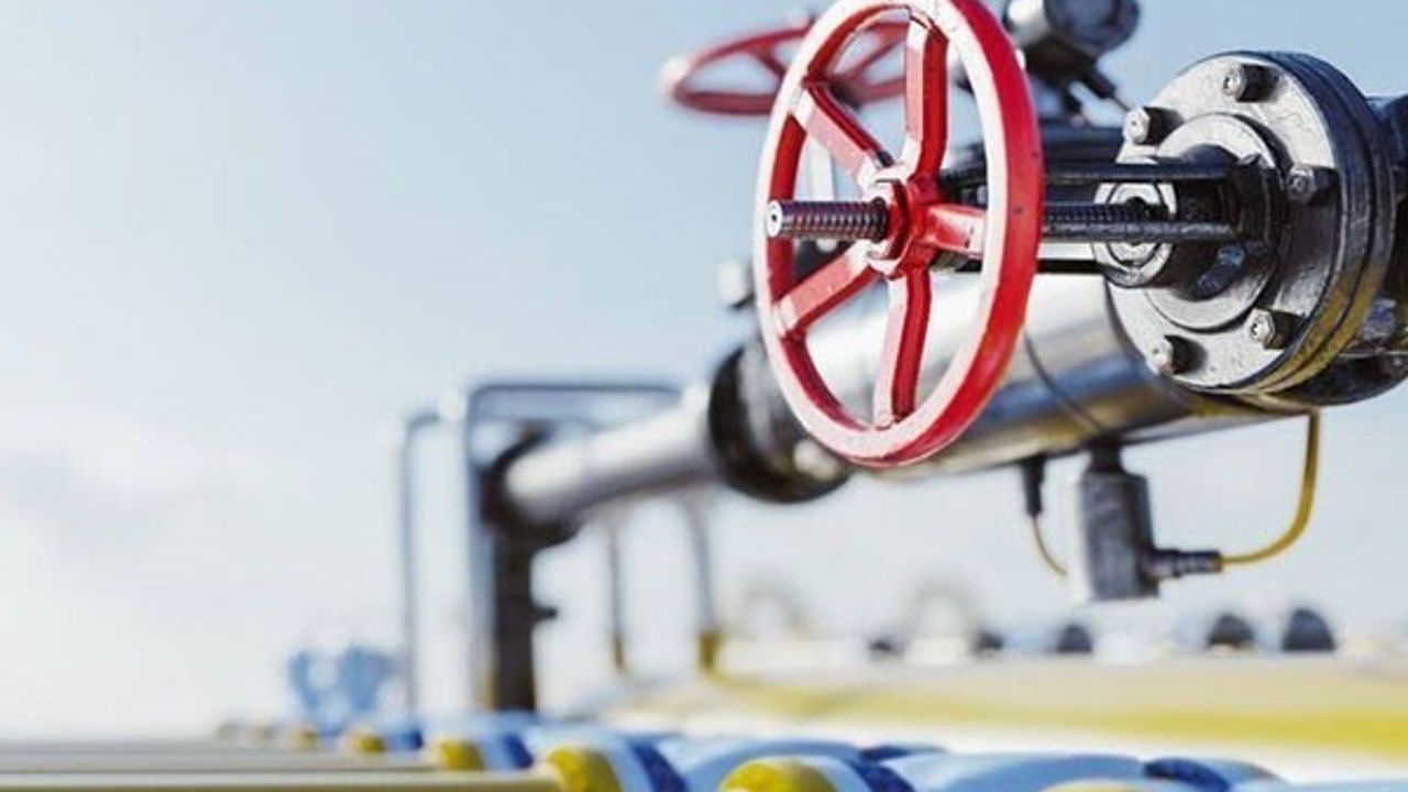 Palen Doğalgaz kesintisi Erzurum'da ısınma krizine yol açtı