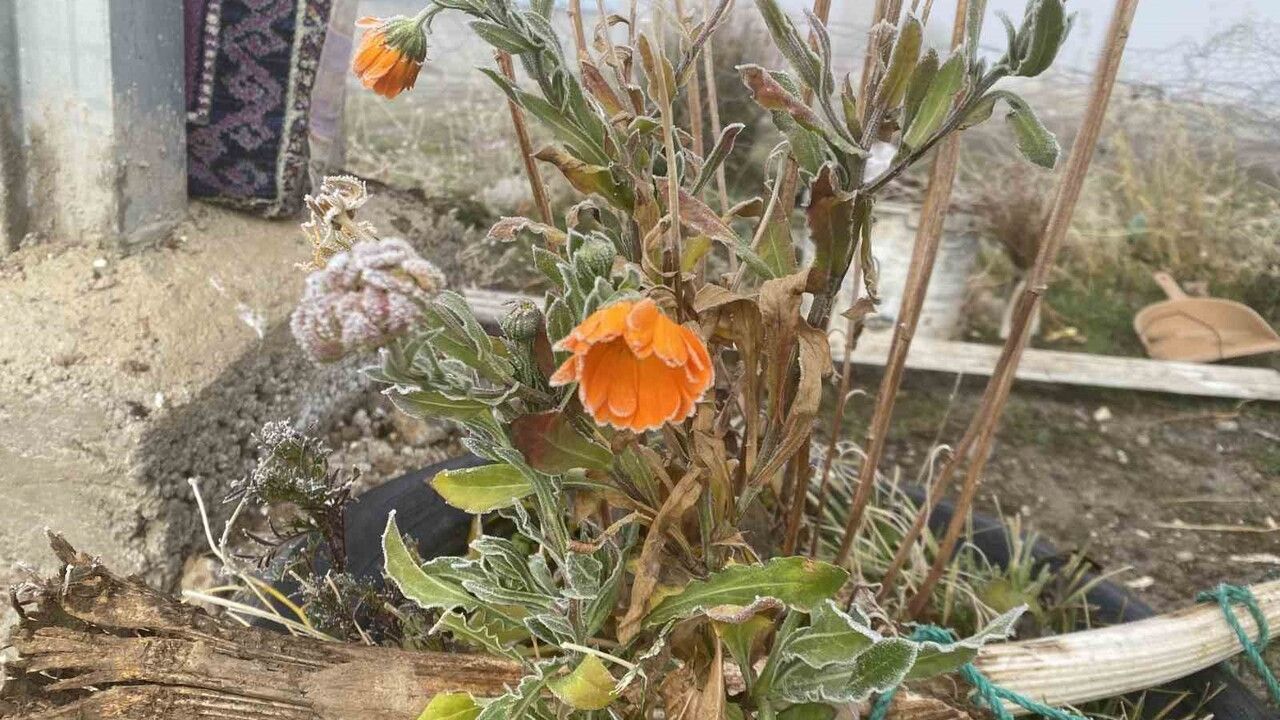 Patnos'ta Gece Sıcaklıklarının Düşmesi Kırağı Oluşumuna Yol Açtı