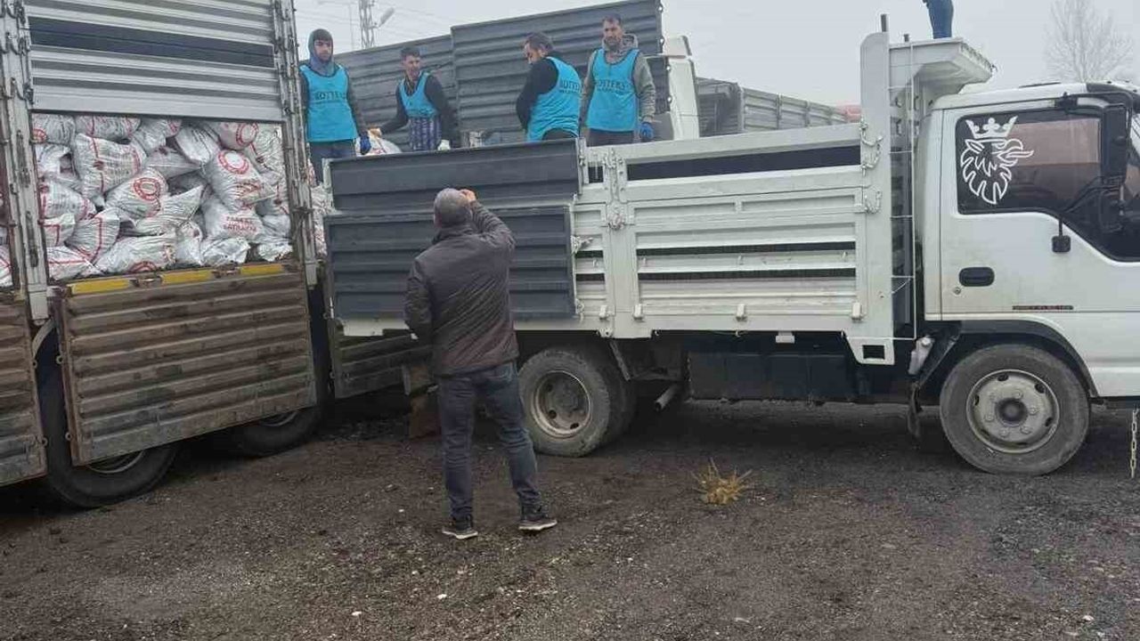 Patnos'ta Kışa Hazırlık: 10 Bin Haneye Kömür Yardımı