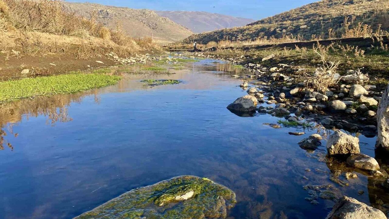 Patnos'ta Sonbahar Kartpostalları: Sararan Yaprakların Büyüsü