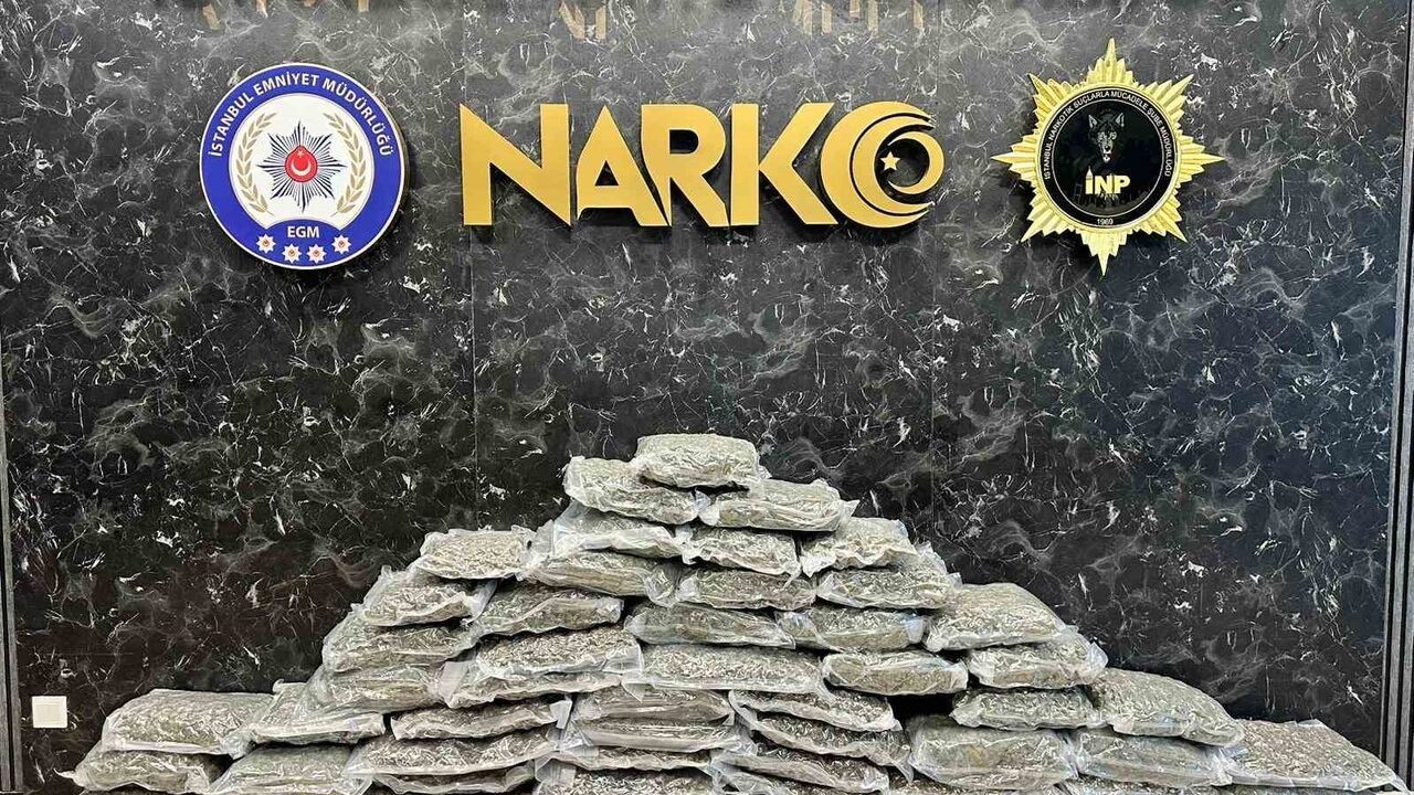 Pendik’te narkotik operasyonu: 71 kilo 400 gram skunk ele geçirildi, E.Ö. gözaltında