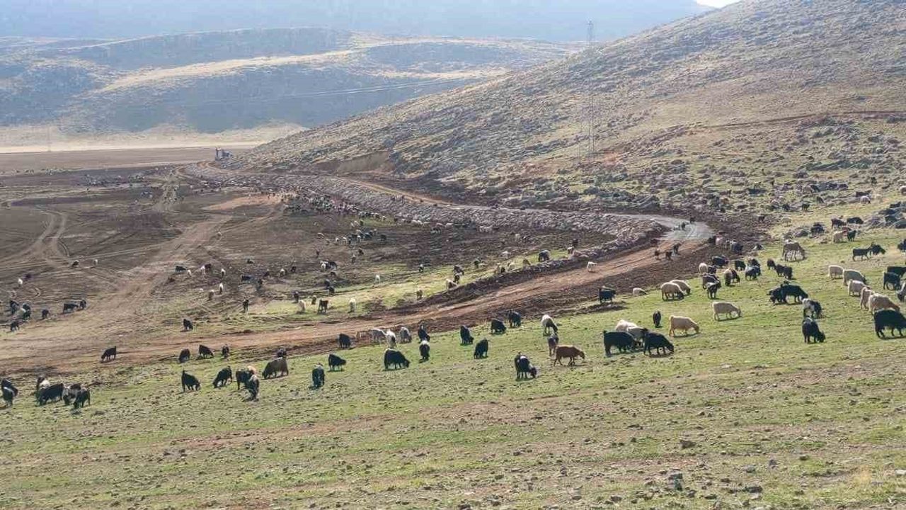 Pervari’de Zirin Gölü taş tahkimatıyla korunuyor