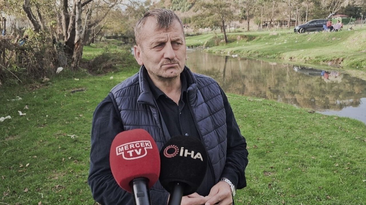 Pirinççi Deresi'nde Toplu Balık Ölümleri Alibey Barajı'nı Tehdit Ediyor