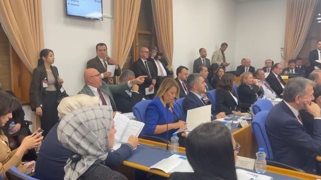 Plan ve Bütçe Komisyonu'nda 'elektrik kesintisi' tartışması