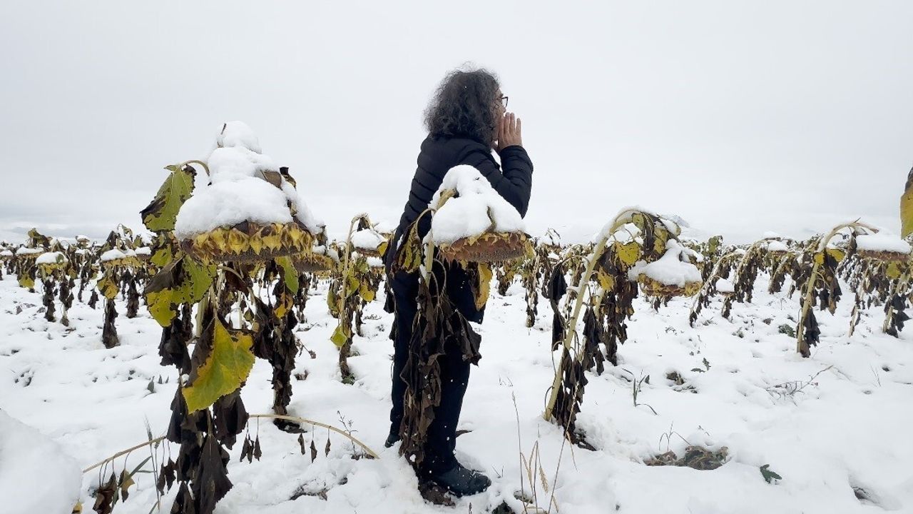 Prof. Dr. Mehmet Kavukcu'nun "Ego" performansı: Karlı ayçiçeği tarlasından doğaya eleştiri