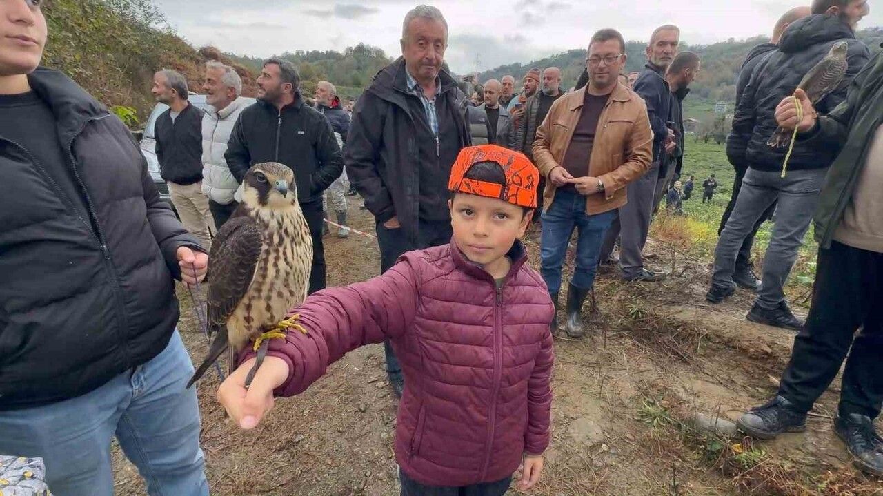 Rize'de 3. Atmaca Salma Festivali'nde atmacalar bıldırcın avında yarıştı