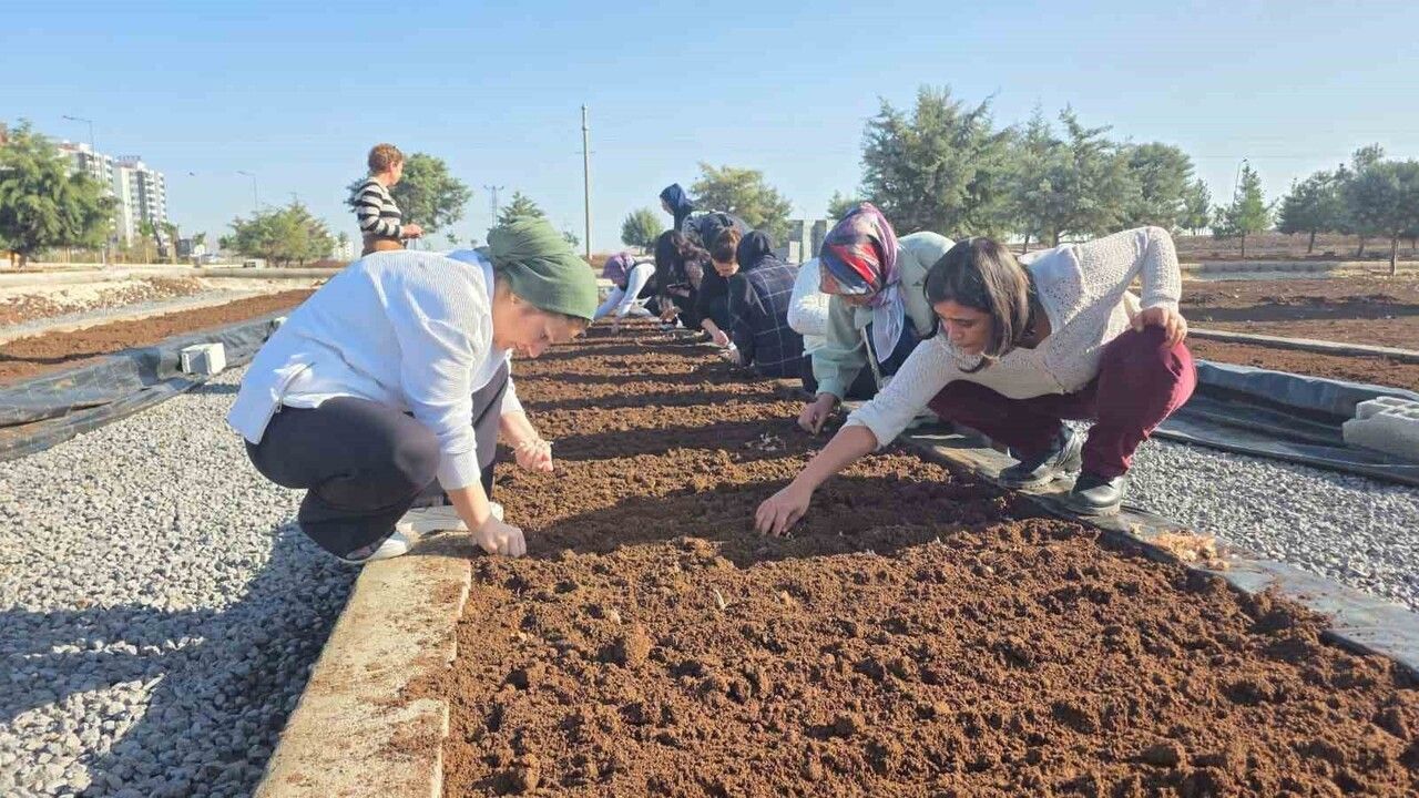 Safran Ekimi İçin Uygulamalı Eğitim: Diyarbakır Büyükşehir Belediyesi Atölyesi