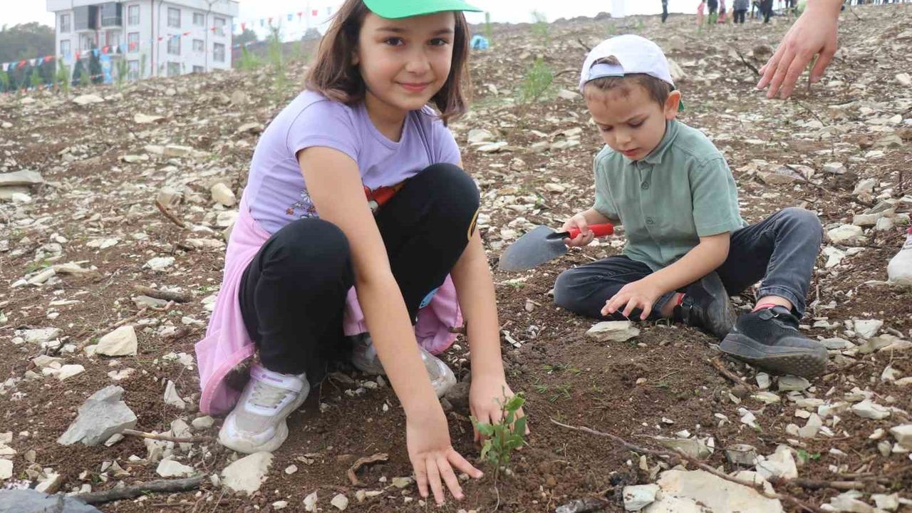 Sakarya’da 4 bin 500 fidan yanan ormanlık alana dikildi