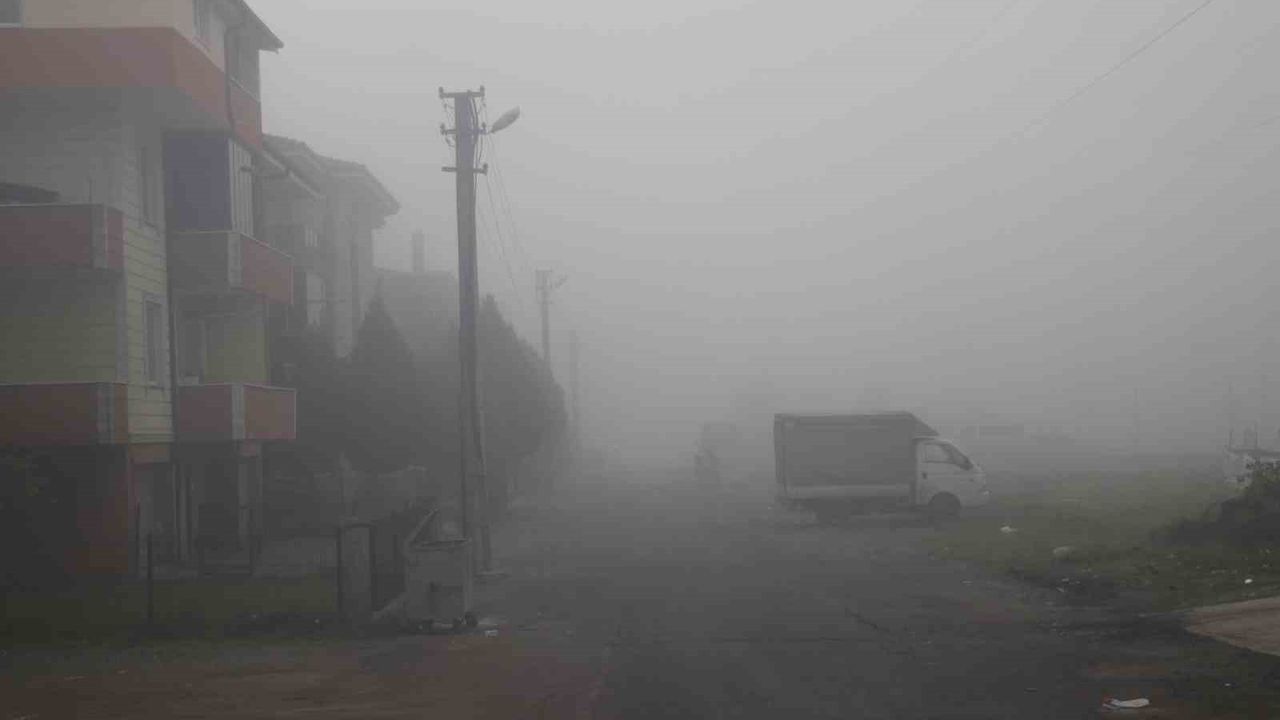 Sakarya'da yoğun sis görüşü azalttı