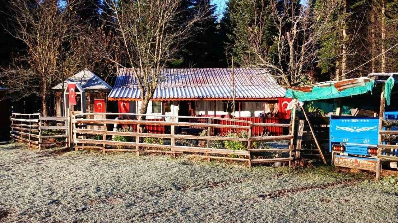 Sakarya'nın Dikmen ve Çiğdem Yaylalarında mevsimin ilk karı
