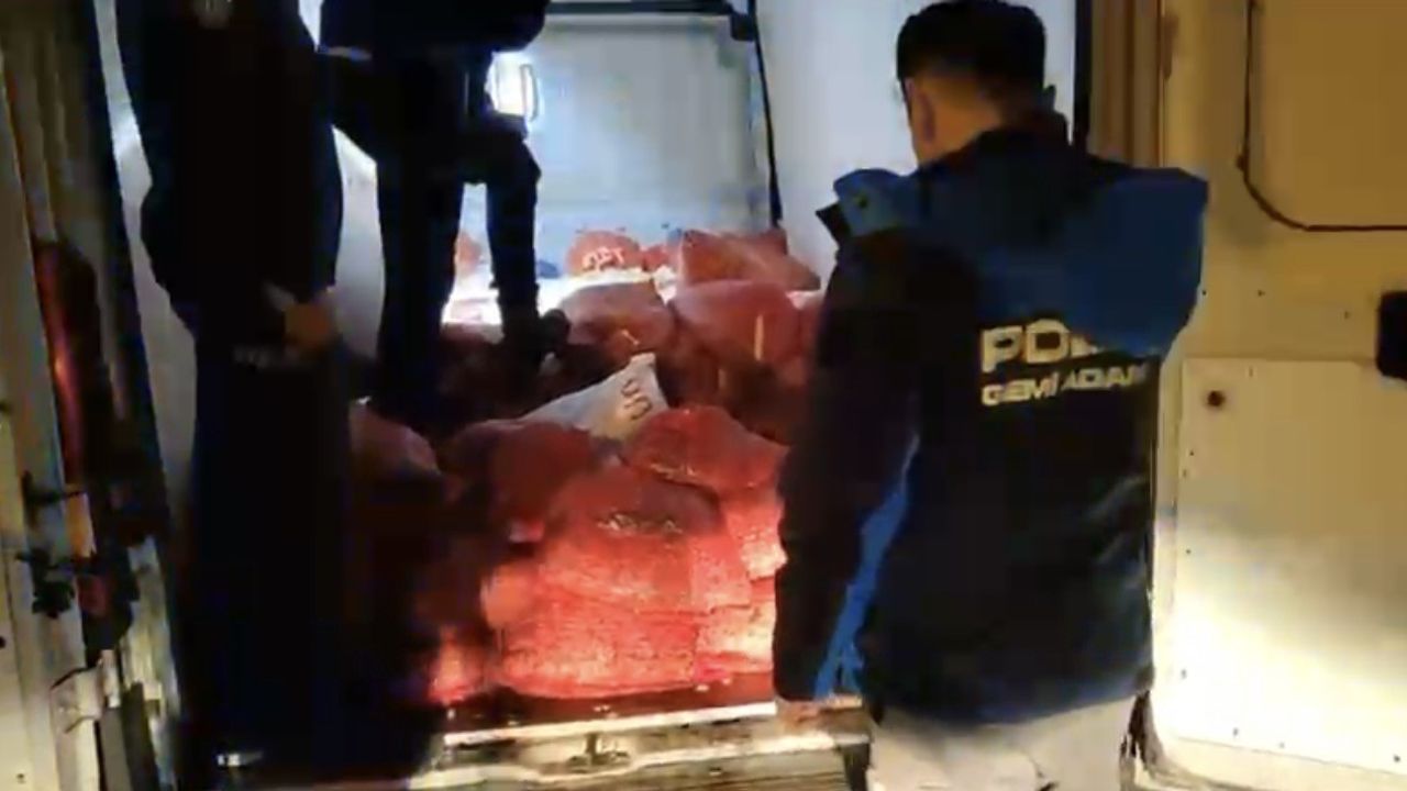 Samsun'da 2,6 Ton Kaçak Midye Ele Geçirildi