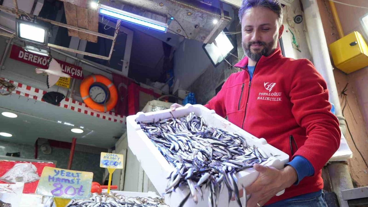 Samsun'da Hamsi Bolluğu ve Pahalılık İlişkisi