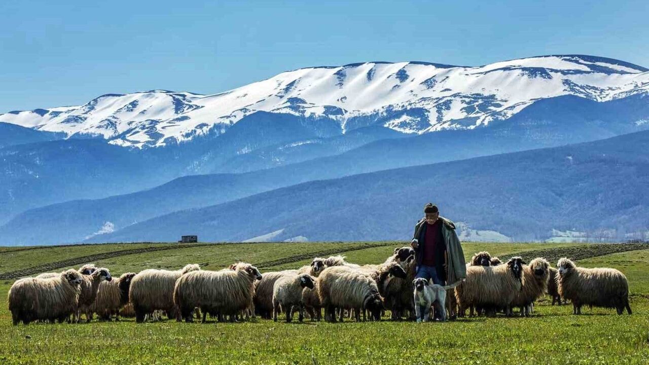 Samsun’da İlk 9 Ayda 490 bin 655 Turist Konakladı