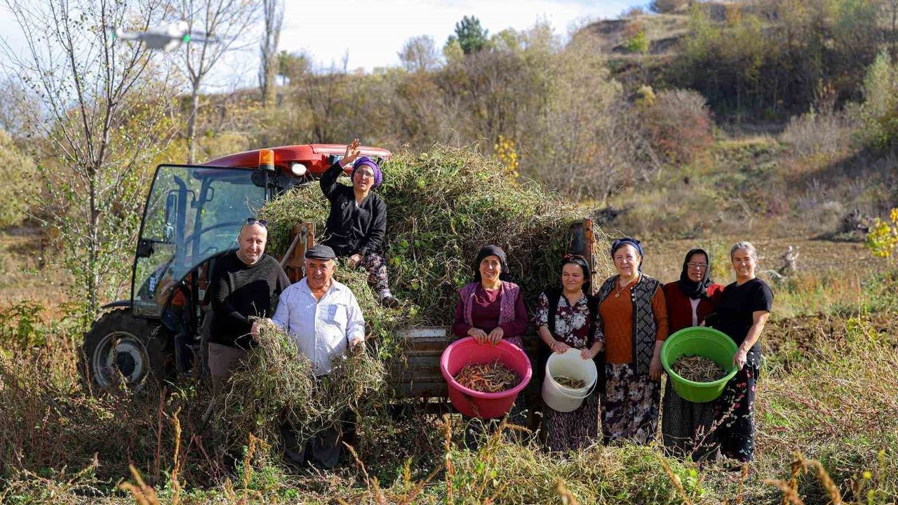 Samsun'da Tarımsal Dayanışma Projesi Başlatıldı